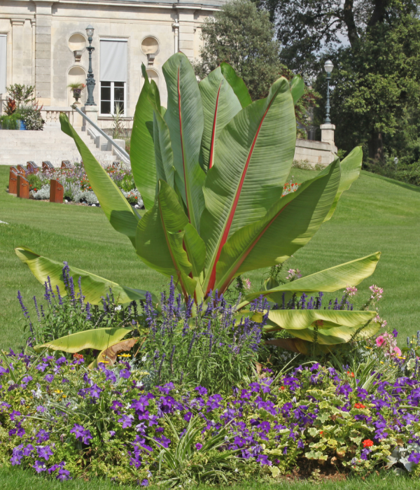 Abers Paysage Paysagiste A Lannilis Creation Et Amenagement De Jardin